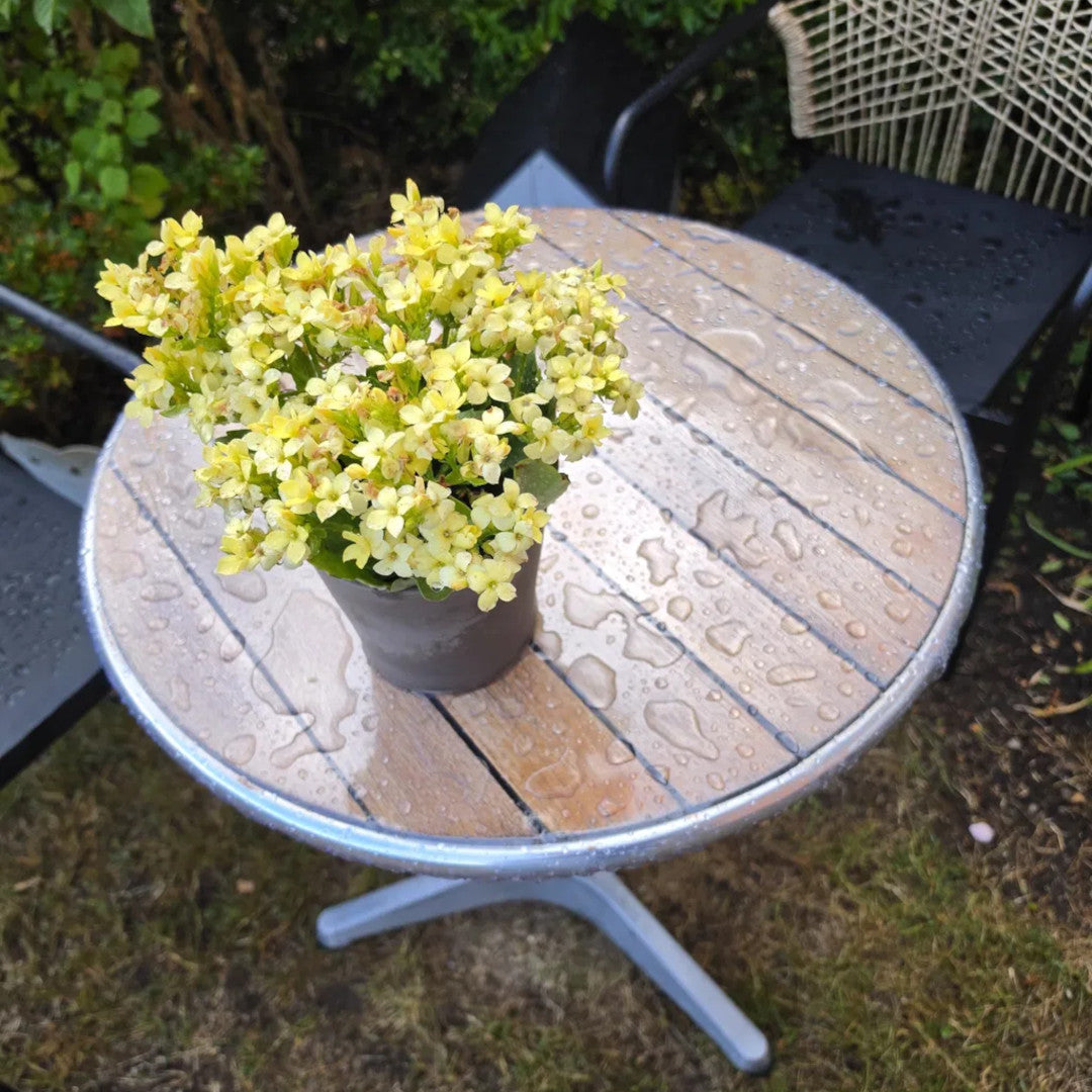 Für den Gartentisch - Runde Tischfolie transparent mit Gummizug