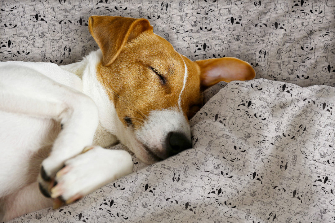 Cani Divertenti e Carini – Abwaschbare Tischdecke mit süßen und lustigen Hunden, Hund