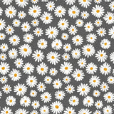 Margarita Anthrazit - Abwaschbare Tischdecke mit Margeriten und grauem Grund