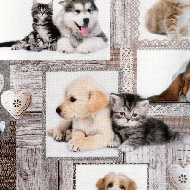 Migliori Amici - Abwaschbare Tischdecke mit Hundewelpen und Kätzchen