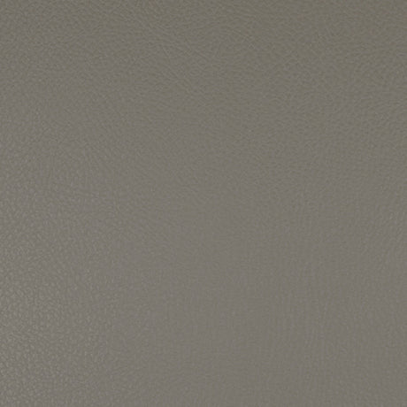 Kunstleder MOON - Dicke 0,9 mm - Breite 140 cm - Grau