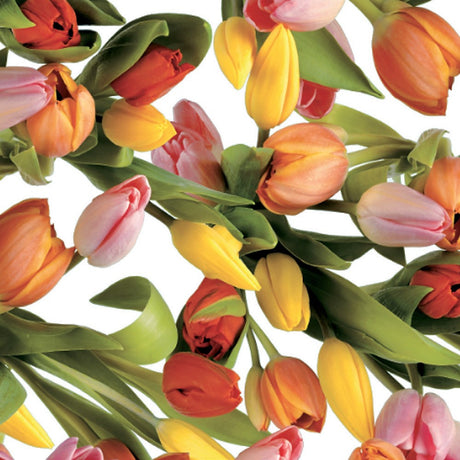 Tulipan Multicolor - Wachstuch Tischdecke mit Tulpen in schönen Farben